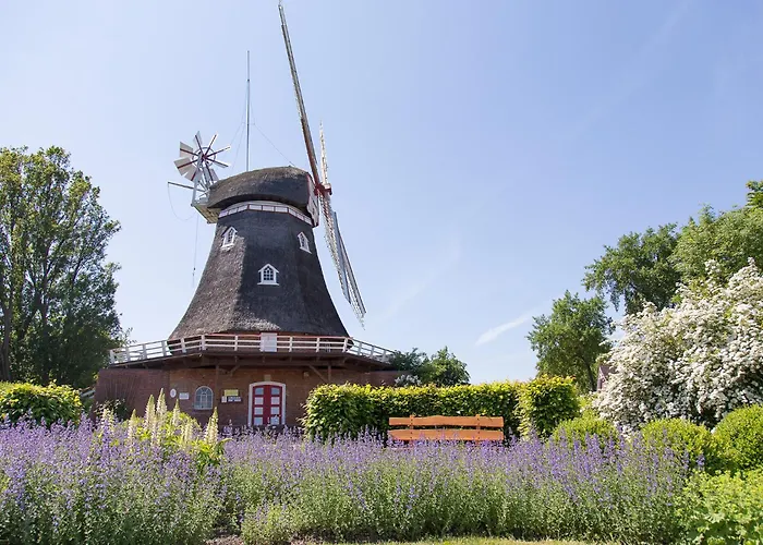 Dom wakacyjny Hausboot 